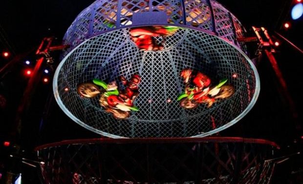 ​Le Cirque traz elenco internacional para apresentações inéditas em Fortaleza