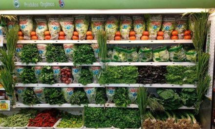 Campo Ouro Verde fornece hortaliças para a nova loja do grupo Super Lagoa